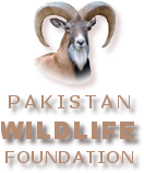 Pakistan Wildlife Journal